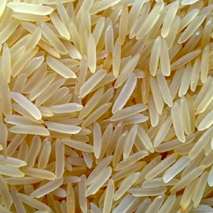 1121 Raw Basmati Rice