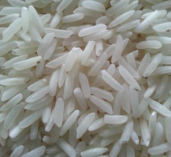 PR 11 Raw Rice
