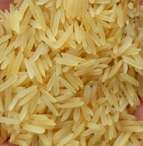 PR 14 Golden Sella Rice