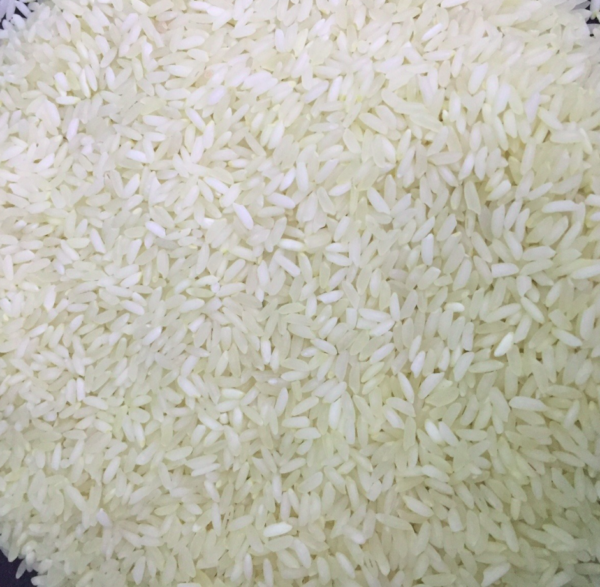 Sona Masoori Steam Rice