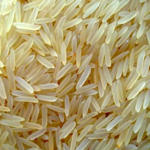 Sugandha Golden Sella Rice