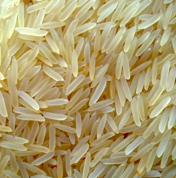Sugandha Golden Sella Rice