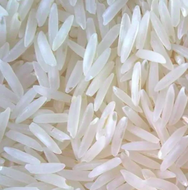 Sugandha Raw Rice